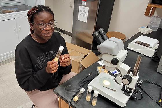 Photo of a young Black woman wearing khakis and a black sweatshirt, sitting on a stool in front of a microscope and holding a test tube