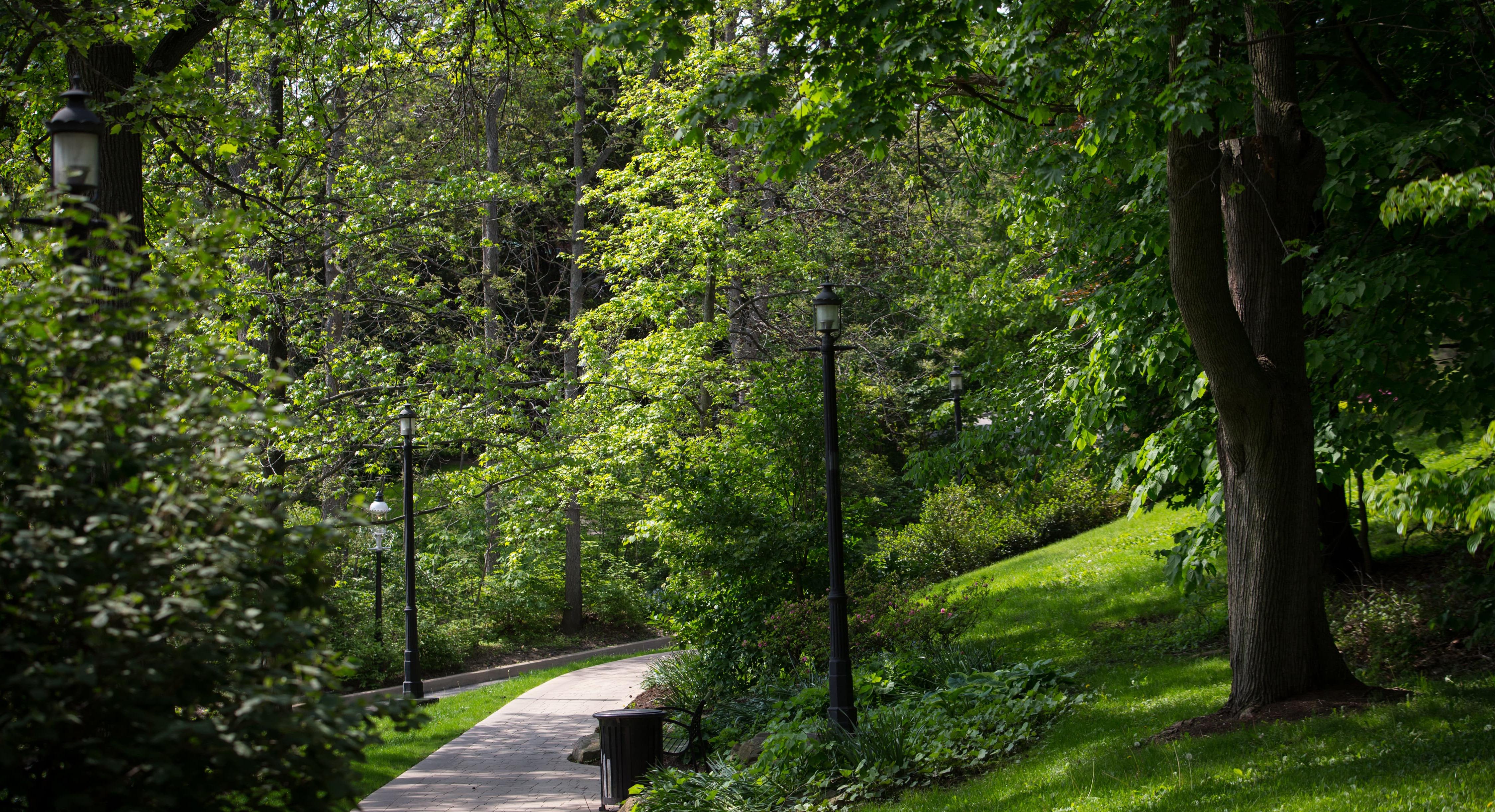 图为波胆网站荫边校区的人行道蜿蜒穿过茂密的绿色森林. 